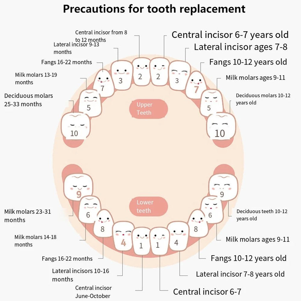 Souvenirs Cute Baby Tooth Box Cartoon Zodiac Breast Teeth Storage Case Wooden Collection Milk Teeth Organizer Newborn